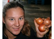 BROWN ONIONS 1KG Pukekohe Grown